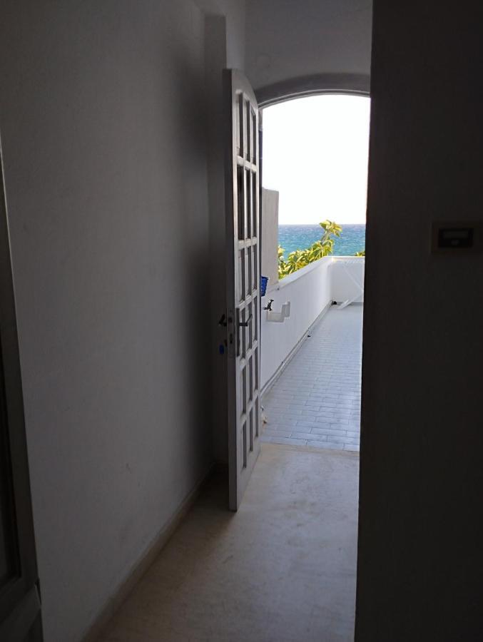 Sofia Apartament *